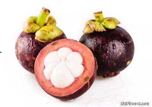 娱乐吃瓜酱山竹